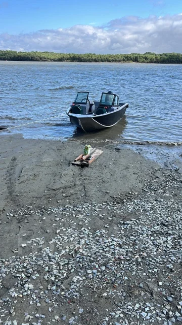 Vboats �������� 46 Fish. 2025 ���, ����� 4,6��., ��������� ���������, 60��.�., ������ ����