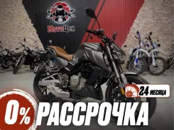 Regulmoto Alien Monster 300