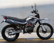 Regulmoto Grizzly