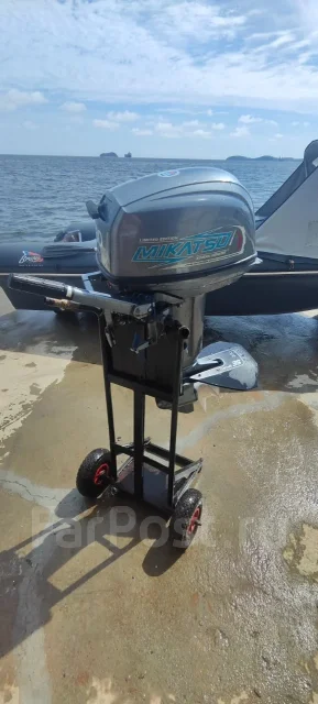 ������ 460. 2019 ���, ����� 4,6��., ��������� ���������, 30��.�., ������ ����