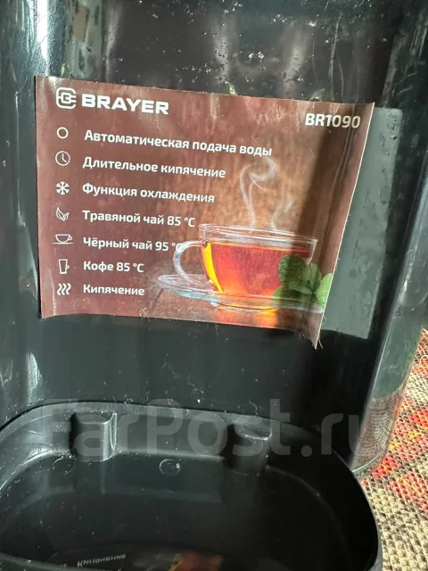 ���������. ����