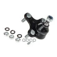 ����� ������� | ����� ��� | Volkswagen/Audi/Seat Partra ���. BJ5131L BJ5131L ����