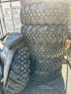 TyRex CRG VO-1260. �����������, 2026 ���, ����� ����
