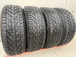 Tigar Ice. ������, ����������, 2021 ���, �/�, ����� 10 % ����