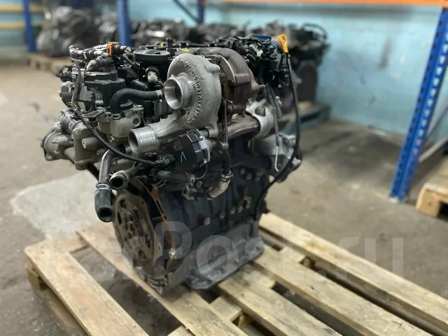 D4HB ��������� �6 2.2� 202 �. � Kia Carnival 137F12FU00 ����