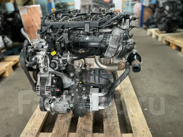 D4HB ��������� �6 2.2� 202 �. � Kia Carnival 137F12FU00 ����