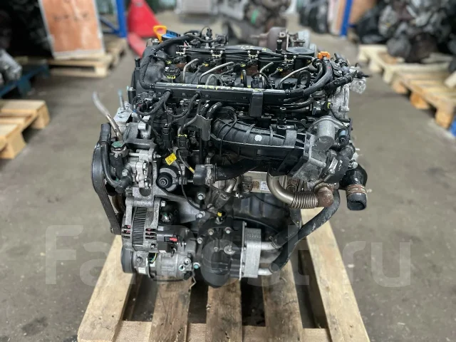 D4HB ��������� �6 2.2� 202 �. � Kia Carnival 137F12FU00 ����