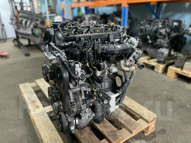 D4HB ��������� �6 2.2� 202 �. � Kia Carnival 137F12FU00 ����