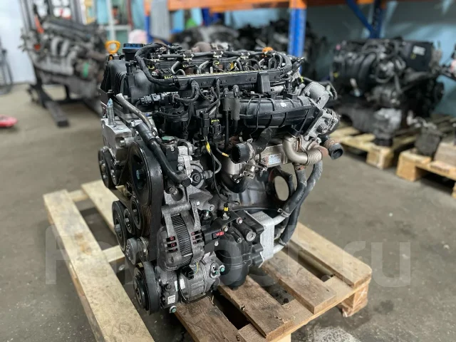D4HB ��������� �6 2.2� 202 �. � Kia Sorento 137F12FU00 ����