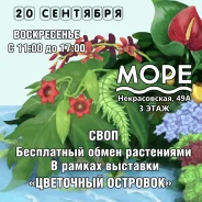 ����� ���������� ���������� �� ������������ ����