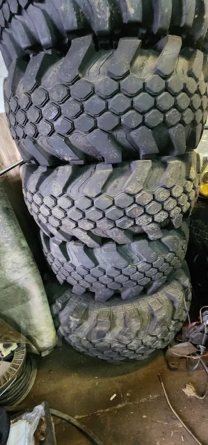 Superstone Crocodile Xtreme. ����� at, �/�, ����� 10 % ����