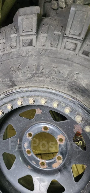 Superstone Crocodile Xtreme. ����� at, �/�, ����� 10 % ����