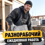 �������. ��� �������. ����� �������� 15� ����