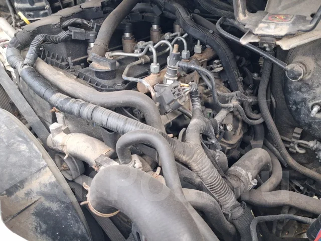 Ford Transit Connect. Z6F ����