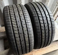 Bridgestone DriveGuard