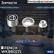 ��������� �������, �������� | ��� ����/��� | Fenox ���. WKB60171 WKB60171 ����