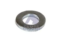 ����� Scania ������������ ������ (17x30x4) Sampa Sampa ���. 107.052 107052 ����
