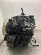 ��������� Mercedes 11111 651955 11111 ����