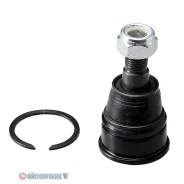 ����� ������� | ����� ����/��� | CB0115 / CBHO-30 CB0115 ����