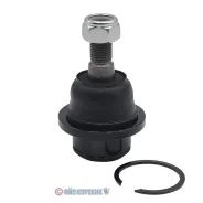 ����� ������� | ����� ����/��� | CB0283 / CBMZ-36 CB0283 ����