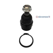 ����� ������� | ����� ����/��� | CB0443 / CBT-100 CB0443 ����
