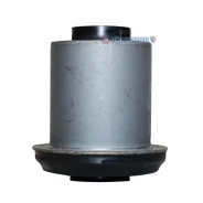 ����������� ������ �������� | ��� ����/��� | GV0369 / CVM-19 GV0369 ����