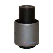 ����������� ������ �������� | ��� | GV0424 / CVSU-5 GV0424 ����