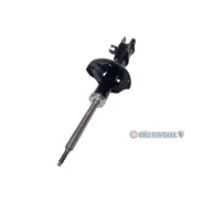 ����������� | ����� ���� | GY0330G / CYG-264-G GY0330G ����