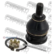 ����� ������� ��������� ������� ������ | ����� ����/��� | 0320CAP 0320CAP ����