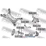 ����������� ������� ������� ������ | ��� ����/��� | NAB365 NAB365 ����