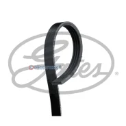 ������ ������������ 4PK885 XF 4PK885 ����