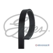 ������ ������������ 5PK1138 5PK1138 ����