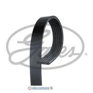 ������ ������������ 6PK1033 XF 68814 6PK1033 ����