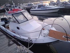 IMP Boats. 1990 ���, ����� 6,4��., ��������� ���������, 225��.�., ������ ����