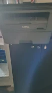 ��������. ����