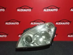 ���� Nissan Dualis, ����� 11384 ����