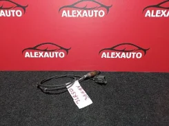 ������-���� Nissan Terrano Regulus 226900W700 ����