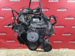 ��������� Nissan Terrano 231000W800 ����
