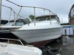 Bayliner. 1988 ���, ����� 7,2��., ��������� ���������, ������ ����