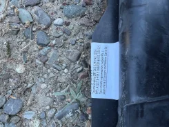 �������� ��������� ����