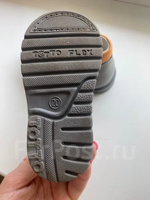 ��������. 20 ����