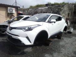 Toyota C-HR. NGX50, 8NR ����