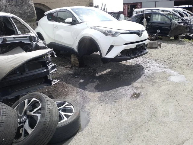 Toyota C-HR. NGX50, 8NR ����