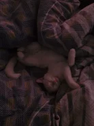 �����. ����