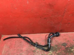 ��� ����� ��������� ���������� ���� [96266086] 96266086 ����
