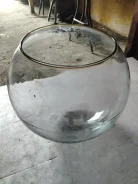 ���������. ����