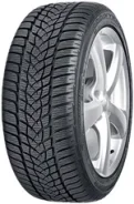 Goodyear UltraGrip Performance 2