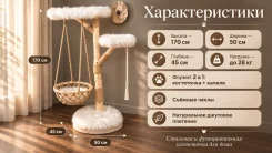 ����������, ������ � ��� ��� �������� 3 � 1 ����