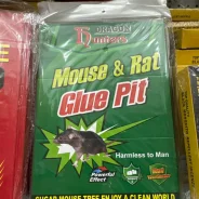 �������� �� ����� 2 ��������. ����