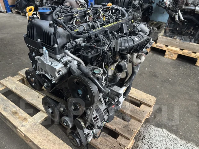 D4HB 2.2� 202 �� ���� 6 ��������� Kia Carnival 137F12FU00 ����